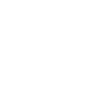 The Palaz Company